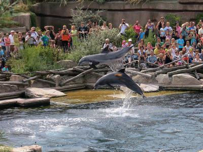 Tiergarten Nürnberg (Nuremberg Zoo), Nuremberg