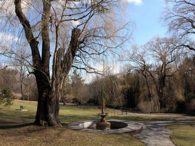 Edwards Gardens, Toronto