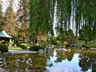 Japanese Friendship Garden, San Jose