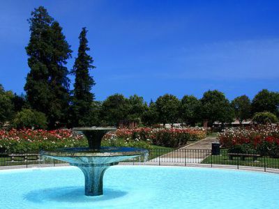 Municipal Rose Garden, San Jose