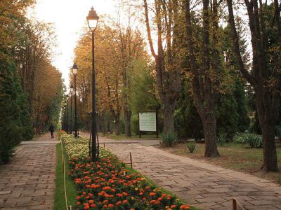 Gradina Botanica (Botanical Garden), Iasi