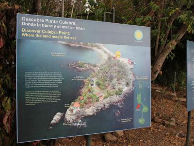 Punta Culebra Nature Center, Panama City