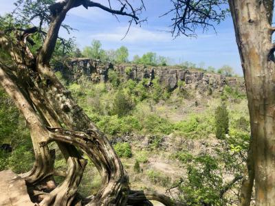 Ruffner Mountain Nature Preserve, Birmingham