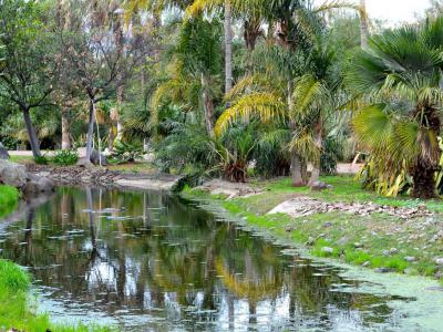 Palmetum (Botanical Garden)