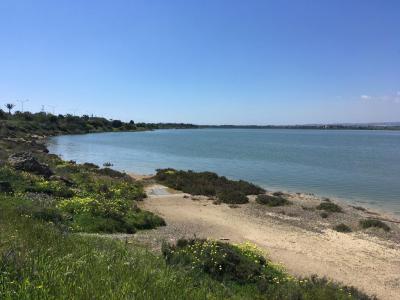 Salt Lake View Point, Larnaca