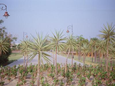 Janeshwar Mishra Park, Lucknow