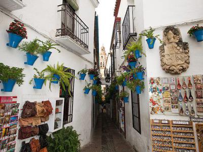Calleja de las Flores (Alley of the Flowers), Cordoba