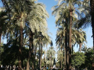 Jardines de la Victoria (Victoria Gardens), Cordoba