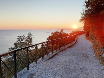 Strada Vicentina (Vicentina Street), Trieste