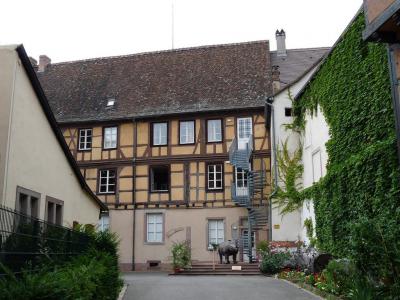 Musee d'Histoire Naturelle et d'Ethnographie (Museum of Natural History and Ethnography), Colmar