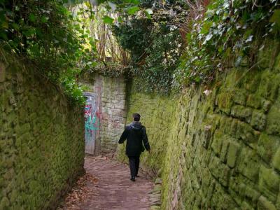 Schlangenweg (Snake Path), Heidelberg