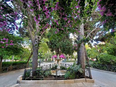 Plaza de la Candelaria (Candelaria Square)