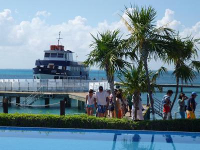 Dolphin Discovery, Cancun