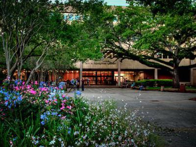 LSU Library