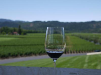 Bodega Dona Felisa (Dona Felisa Winery), Ronda