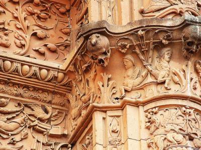 Rana de Salamanca (Frog of Salamanca), Salamanca