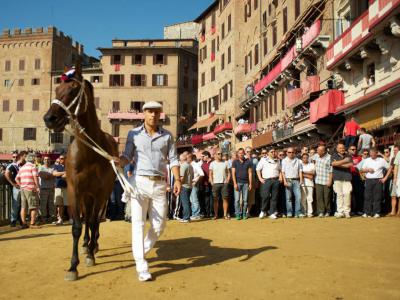 Palio di Siena, Siena