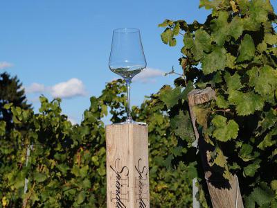 Podere La Marronaia, San Gimignano