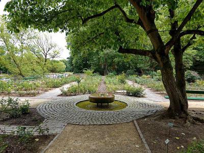 Herzogspark, Regensburg