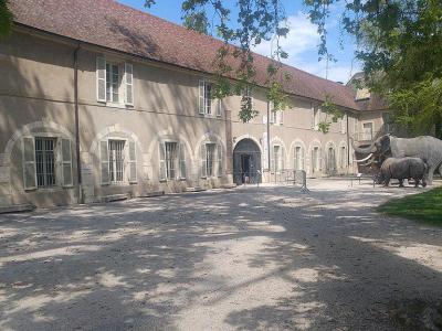 Museum d'histoire Naturelle de Dijon (Dijon Natural History Museum), Dijon