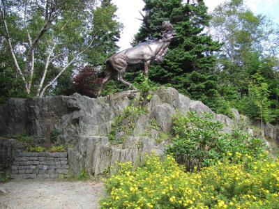 Bowring Park, St. John`s