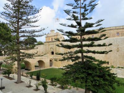 Mdina Ditch Gardens, Mdina