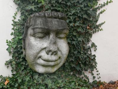 Fool of Passau, Passau