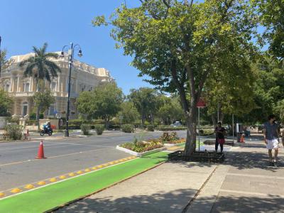 Paseo de Montejo (Montejo Walk)