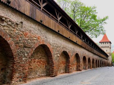 Zidul Cetatii (Fortress Wall)