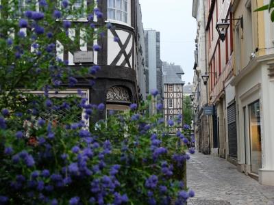 Rue Saint-Romain (Saint-Romain Street)