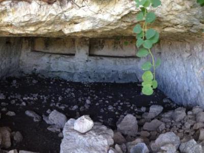 The Greek Heerons, Noto