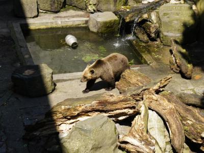 Medvedi Prikop (Bear Moat)