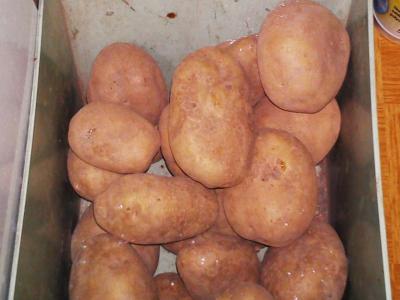 Muzeum Pyry (Potato Museum), Poznan