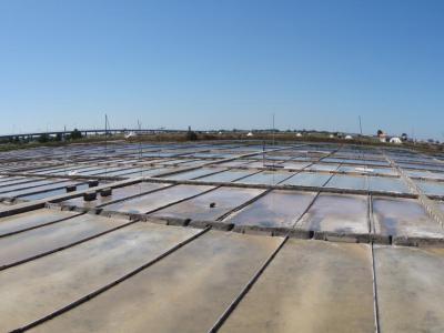 Salinas de Aveiro (Aveiro Salt Flats), Aveiro
