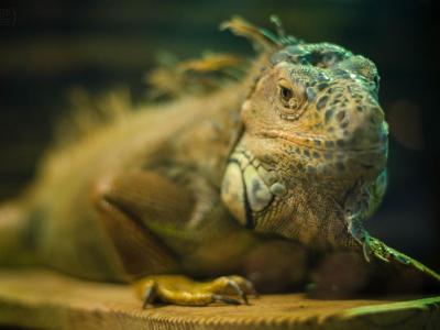 Fresno Discovery Center, Fresno
