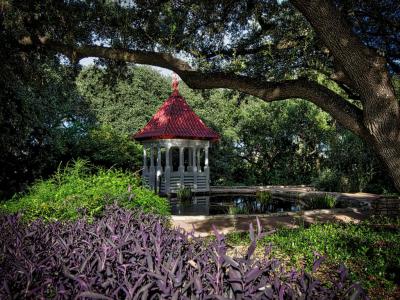 Zilker Botanical Garden, Austin