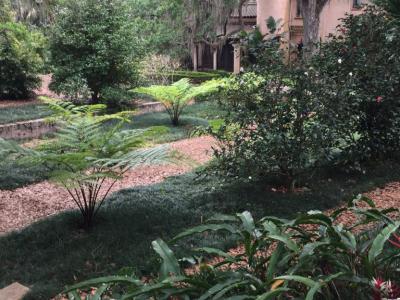 The Tower Estate, St. Georges