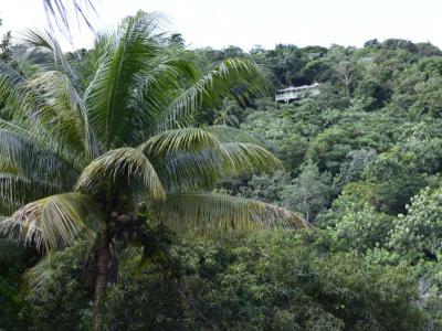Ahhh Ras Natango Gallery and Garden, Montego Bay