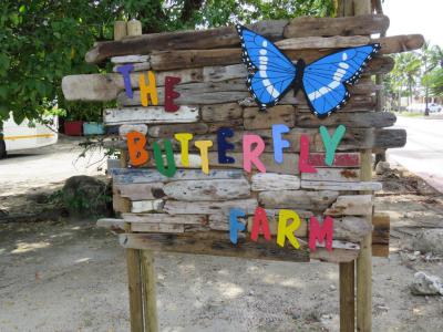 Butterfly Farm, Oranjestad