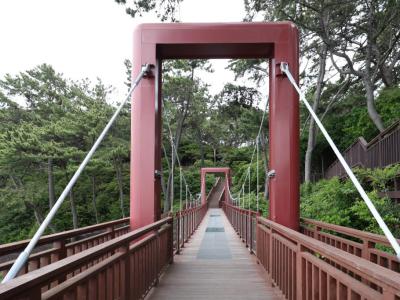 Dongbaekseom (Camellia Island), Busan