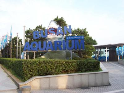 Sea Life Busan Aquarium, Busan