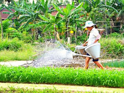Tra Que Vegetable Village, Hoi An