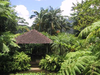 Jardin de Balata (Balata Garden), Fort-de-France