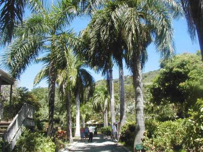 Joseph Reynold O'Neal Botanic Garden, Road Town