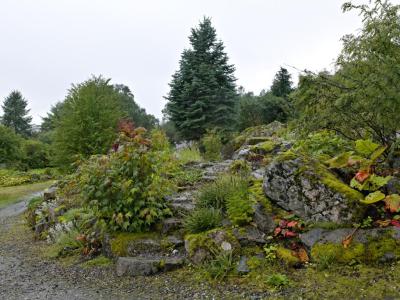 Arctic-Alpine Botanic Garden, Tromso
