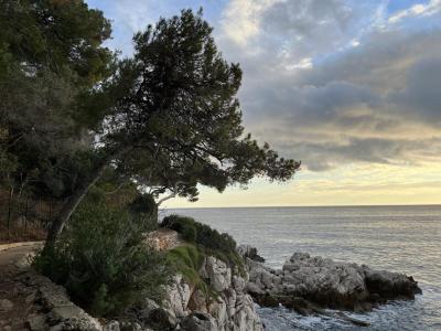 The Coastal Path of Cap d'Antibes, Antibes
