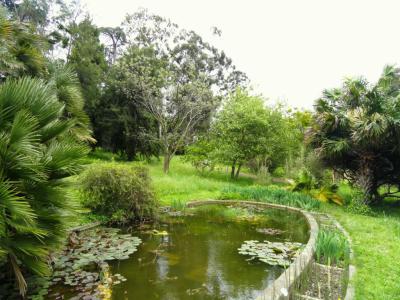 Botanical Garden of Villa Thuret, Antibes