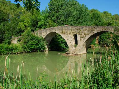 Puente de la Magdalena (Magdalena Bridge), Pamplona