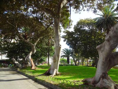 Parque de San Telmo (San Telmo Park)
