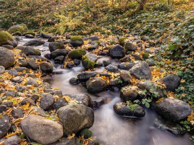 Bluebird Park, Ashland